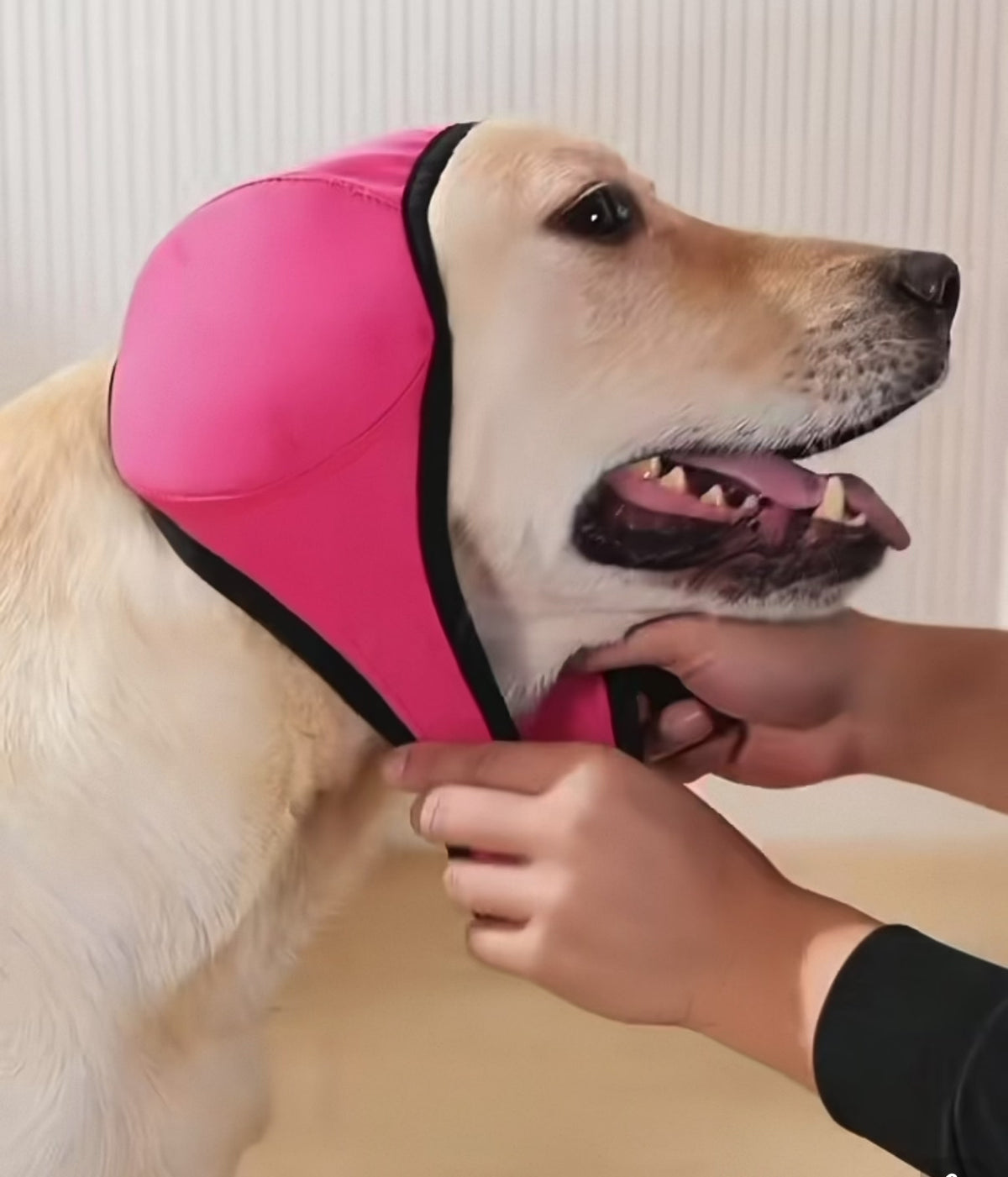 Dog Earmuffs for Bathing, Swimming & Noise Reduction