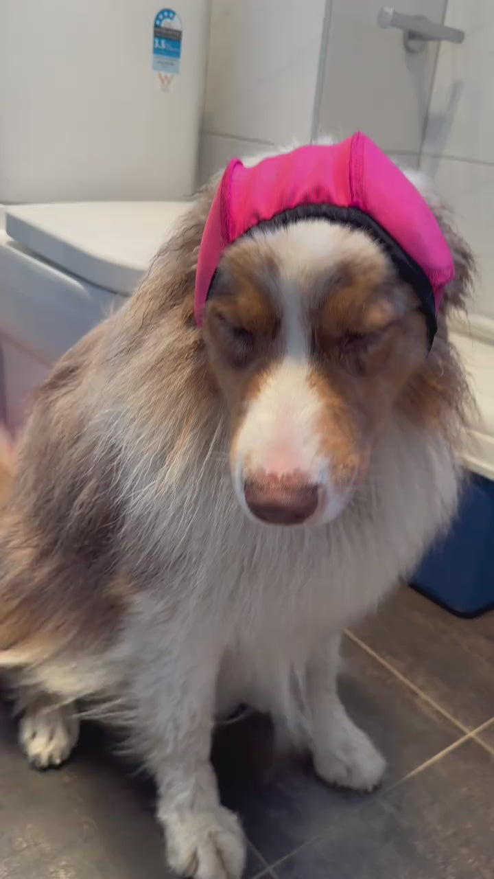 Dog Earmuffs for Bathing, Swimming & Noise Reduction